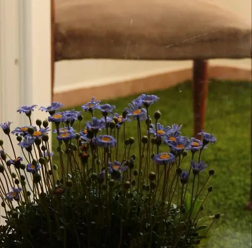 Mariluna 公寓 莫杜尼奥